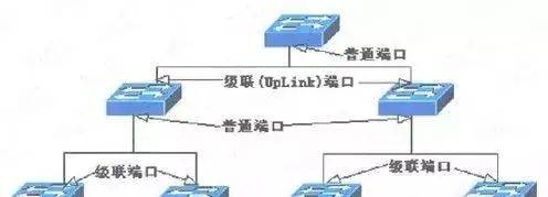 Networking with Switches and Routers