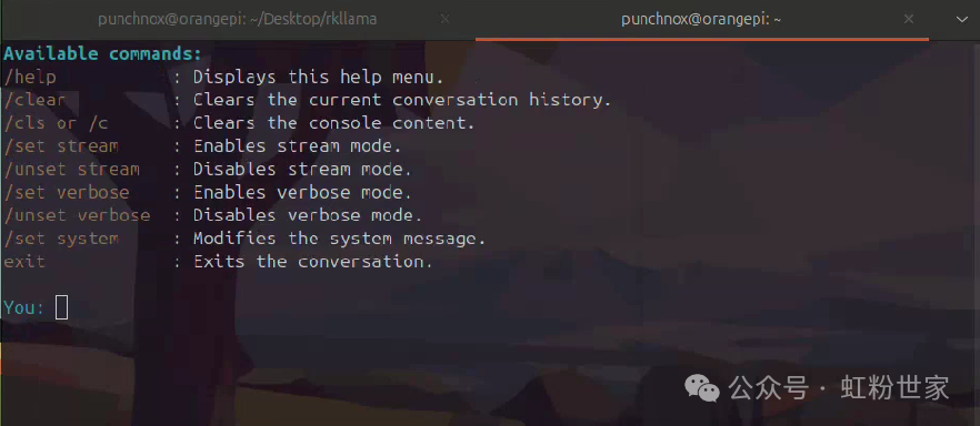 RKLLama: LLM Server and Client for Rockchip 3588/3576 Chips