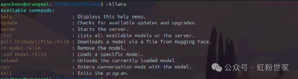 RKLLama: LLM Server and Client for Rockchip 3588/3576 Chips