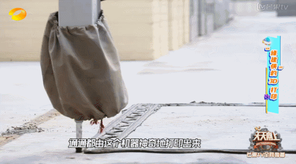 3D Printed Villas in Suzhou: Built in Just 3 Days for 200,000 Yuan