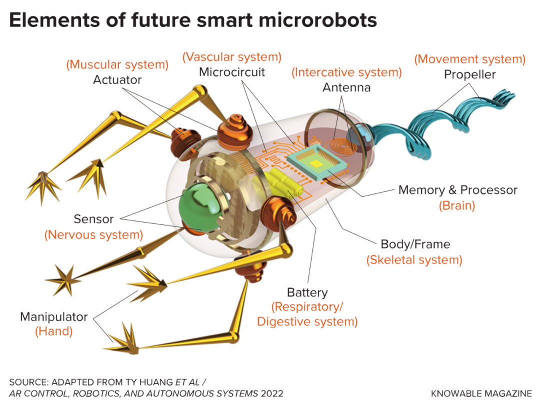 How to Create a Truly Intelligent Microbot