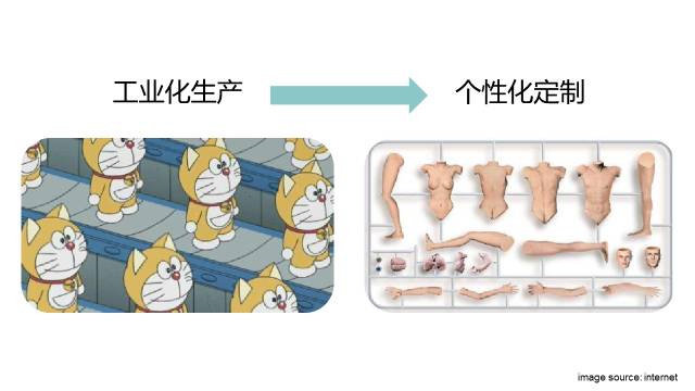 Can 3D Printing Really Create Organs? At Least It Helped a Bird!