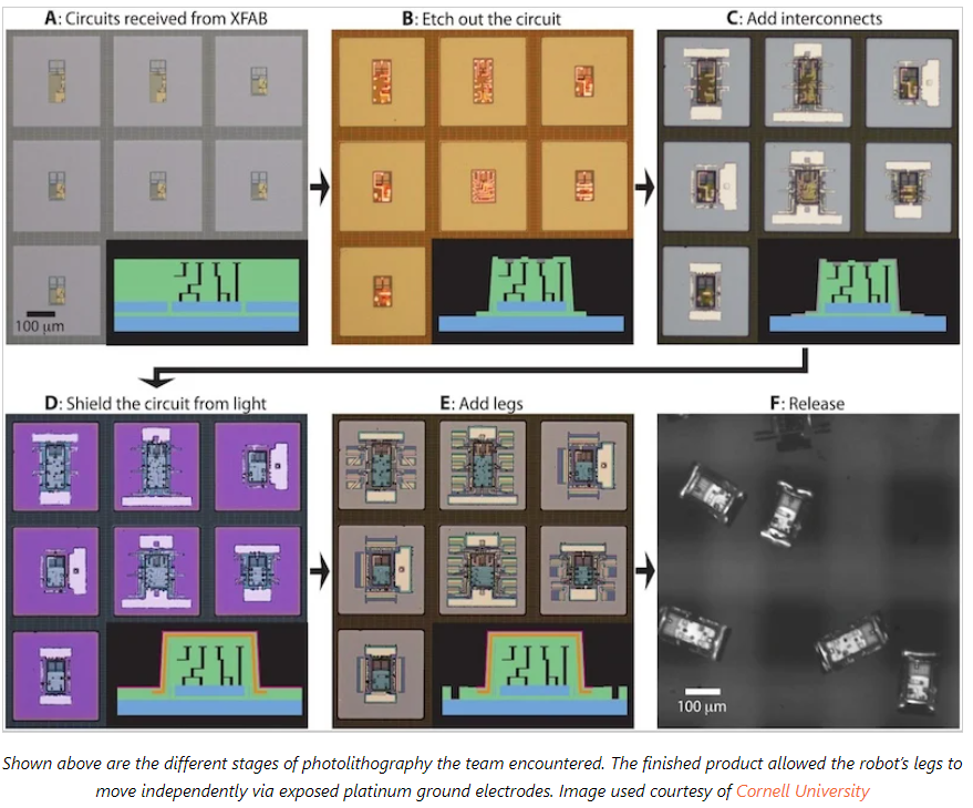 Microbots Successfully Equipped with a 'Brain'!