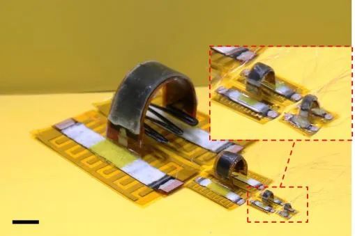 Tsinghua University's Miniature Soft Robot Can Climb Various Surfaces, Change Size from 6 to 90 mm, and Even Somersault!