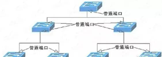 Networking with Switches and Routers