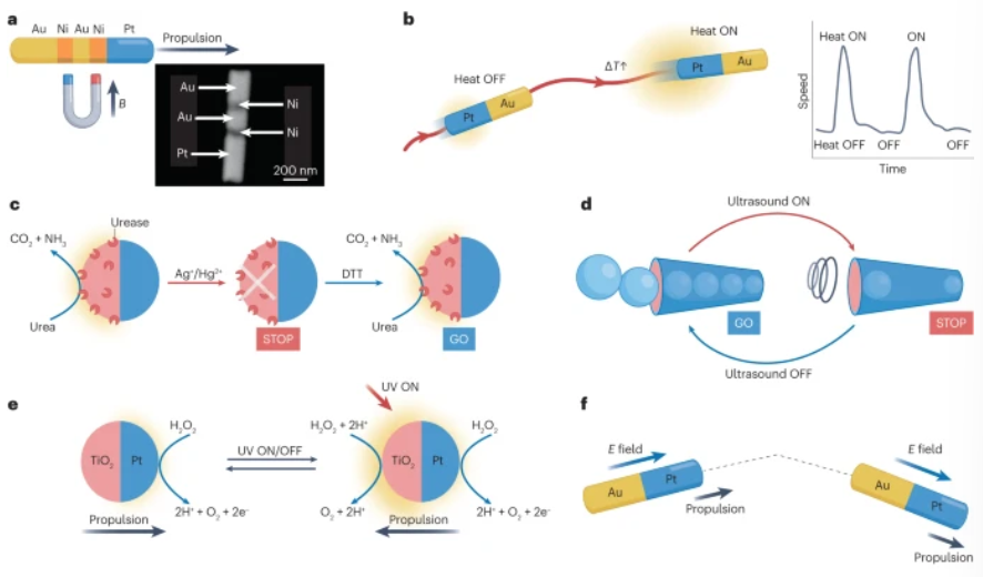 Three Authors, One Nature Review: Microrobots!