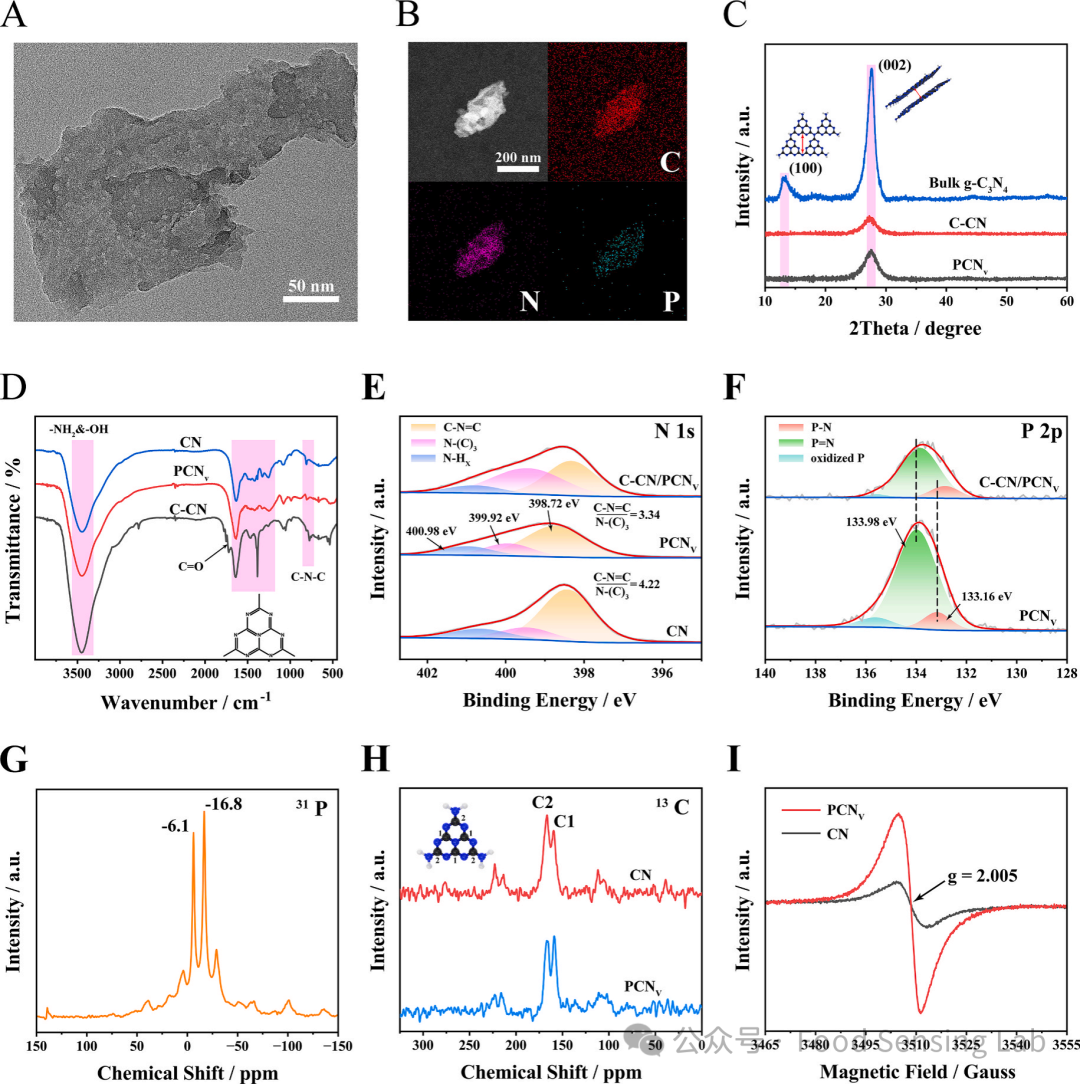 Detection of FTO Using a DNAzyme-Mediated CRISPR/Cas12a Signal Amplification Electrochemiluminescence Biosensor with C-CN/PCNV Heterojunction as Emitter