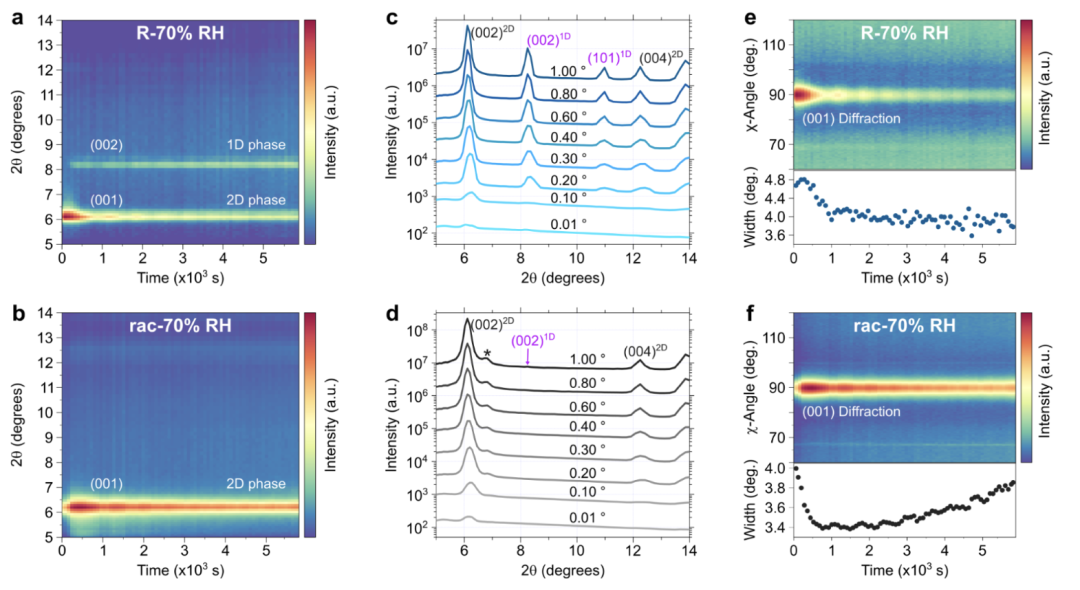 Humidity Disrupts Structural and Chiroptical Properties of Chiral 2D Perovskites