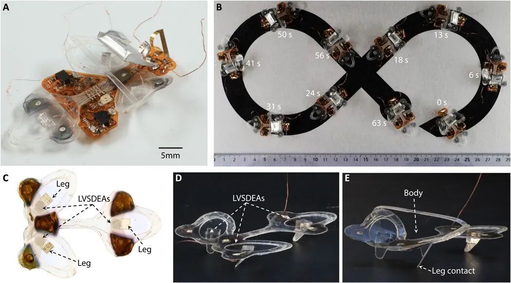 The Resilient Micro-Insect Robot: Artificial Muscles Drive 450 Beats Per Second