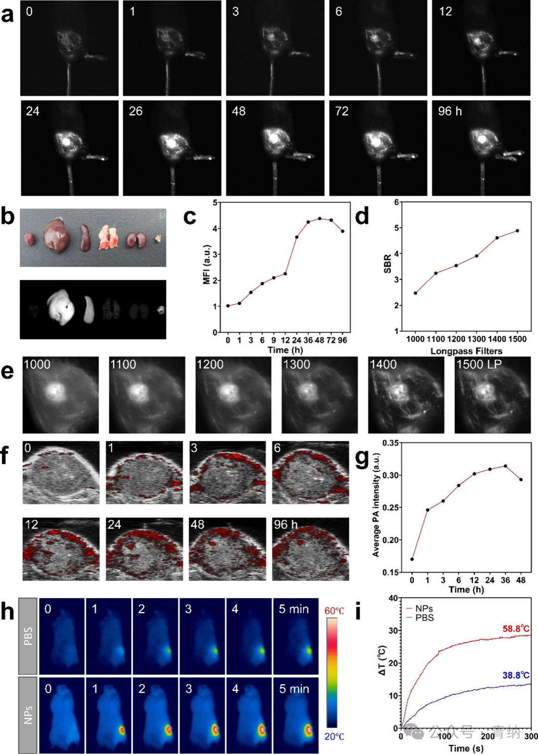 ACS Nano | Organic Radiotherapy Sensitizers with AIE Characteristics Achieve Tumor Ablation through Synergistic Induction of Apoptosis and Immunogenic Cell Death