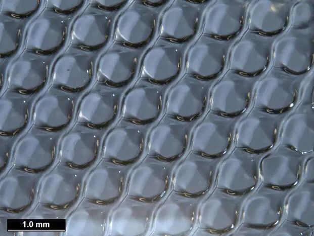 3D Printing an Ovary to Give Birth to a Glowing Mouse? Scientists Have Achieved It!