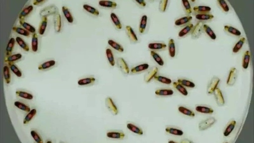 A Group of Unconscious Microrobots Can Collaborate Like Bacteria Invading Cells!