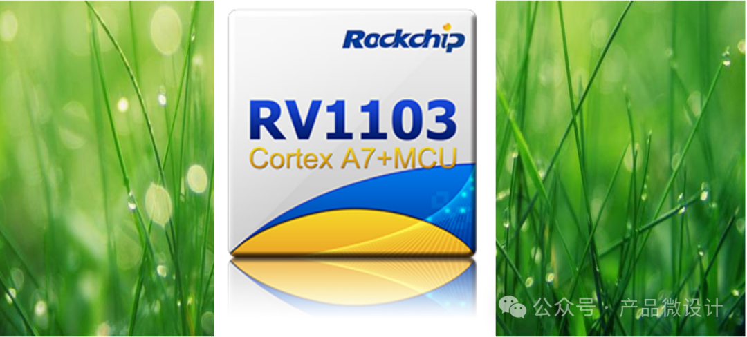 Industry Trends: Security Monitoring Main Chip (SoC) Series - Rockchip RV1103