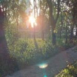 Insights into Linux Character Device Drivers
