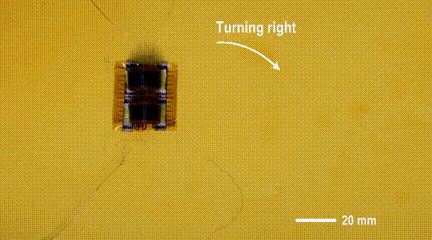 Tsinghua University's Miniature Soft Robot Can Climb Various Surfaces, Change Size from 6 to 90 mm, and Even Somersault!