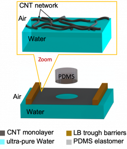 The Resilient Micro-Insect Robot: Artificial Muscles Drive 450 Beats Per Second