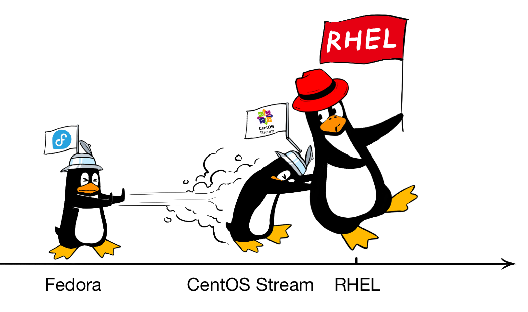 From 'Free Riding' to Mastering Linux!