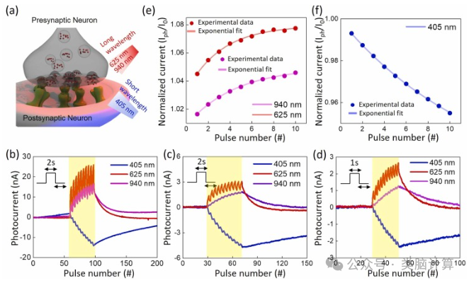 Nano Energy: Wafer-Level Flexible Two-Dimensional PtSe2 Layers with Bidirectional Wavelength Tunability for All-Optical Synaptic Operations