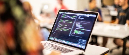 Embedded Programming Standards from an Expert's Perspective