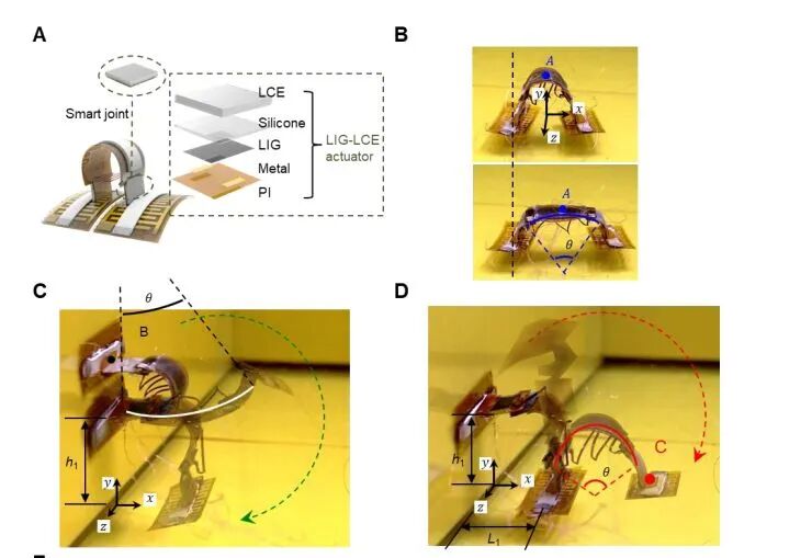 Tsinghua University's Miniature Soft Robot Can Climb Various Surfaces, Change Size from 6 to 90 mm, and Even Somersault!