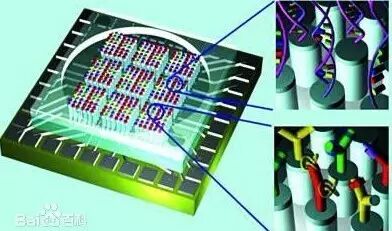 Microcontroller Series
