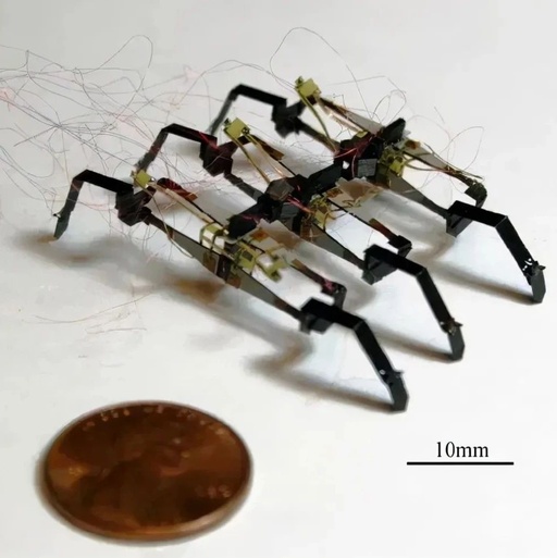 Harvard University's Microbotics Lab Develops Piezoelectric Dual-Plate Multi-Legged Robot