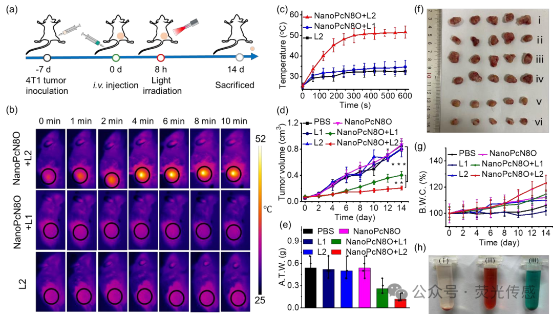 Professor Li Xingshu and Academician Juyoung Yoon in Angew: Hypoxia-triggered Bioreduction of Hydrophilic Type I Photosensitizers for Switchable In Vivo Photoacoustic Imaging and High-specificity Cancer Phototherapy
