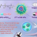 ACS Nano | Organic Radiotherapy Sensitizers with AIE Characteristics Achieve Tumor Ablation through Synergistic Induction of Apoptosis and Immunogenic Cell Death