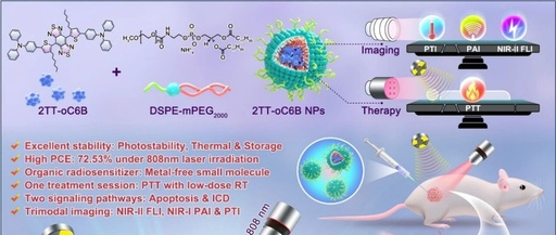 ACS Nano | Organic Radiotherapy Sensitizers with AIE Characteristics Achieve Tumor Ablation through Synergistic Induction of Apoptosis and Immunogenic Cell Death