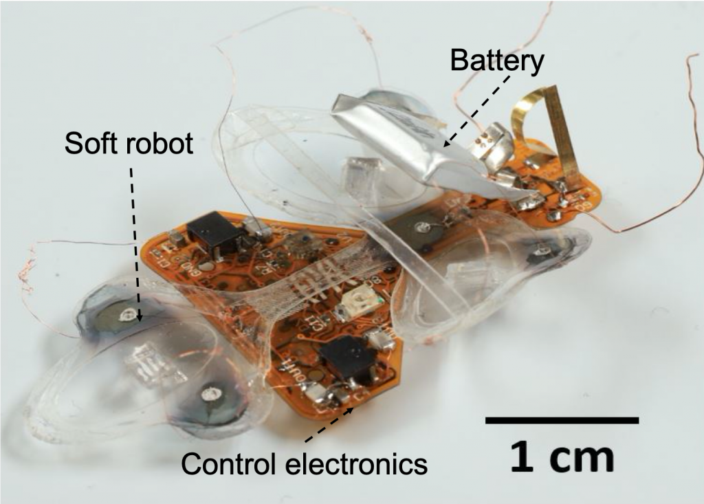 The Resilient Micro-Insect Robot: Artificial Muscles Drive 450 Beats Per Second