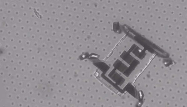 Microscopic Robots Invisible to the Naked Eye: Manufacturing One Million at a Time, Future Exploration of the Brain