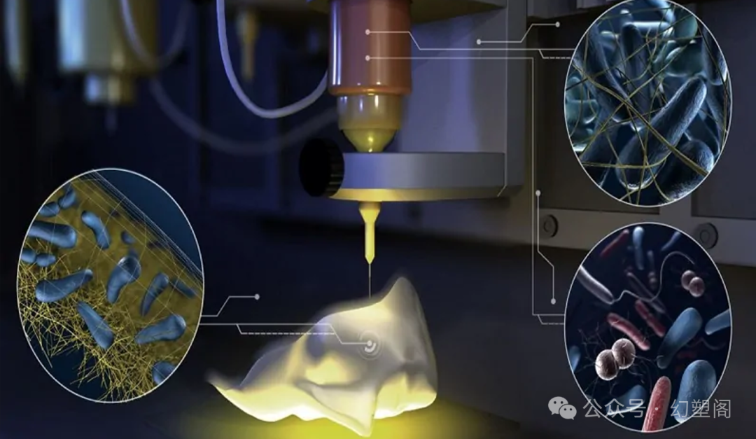 3D Printing: The Golden Path for College Student Entrepreneurs