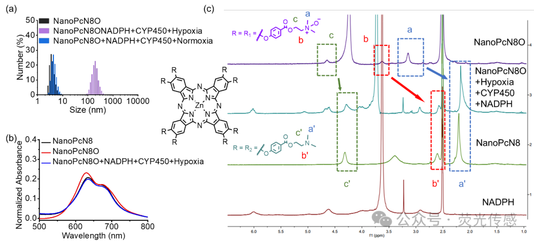 Professor Li Xingshu and Academician Juyoung Yoon in Angew: Hypoxia-triggered Bioreduction of Hydrophilic Type I Photosensitizers for Switchable In Vivo Photoacoustic Imaging and High-specificity Cancer Phototherapy