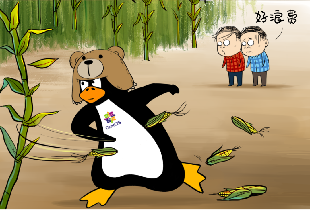 From 'Free Riding' to Mastering Linux!