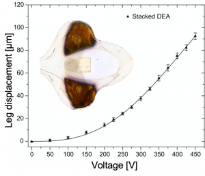 The Resilient Micro-Insect Robot: Artificial Muscles Drive 450 Beats Per Second