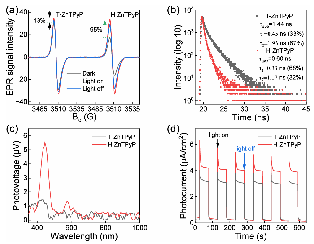 Morphology-Controlled Long-Range Photogenerated Charge Carrier Transfer Pathway for Enhanced Photocatalytic Hydrogen Production