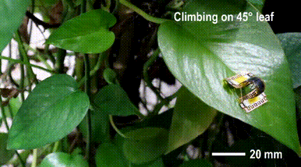Tsinghua University's Miniature Soft Robot Can Climb Various Surfaces, Change Size from 6 to 90 mm, and Even Somersault!