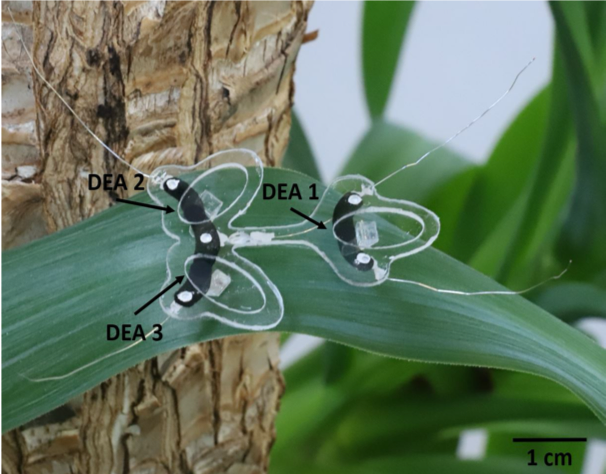 The Resilient Micro-Insect Robot: Artificial Muscles Drive 450 Beats Per Second