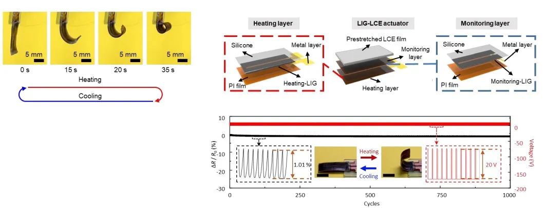 Tsinghua University's Miniature Soft Robot Can Climb Various Surfaces, Change Size from 6 to 90 mm, and Even Somersault!