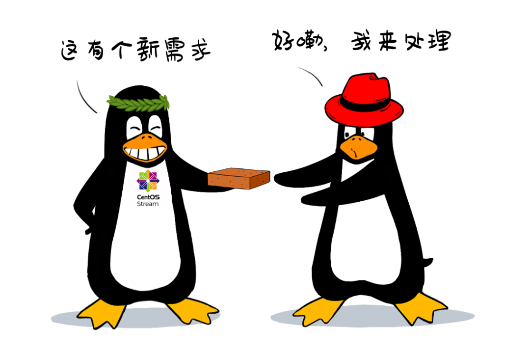 From 'Free Riding' to Mastering Linux!