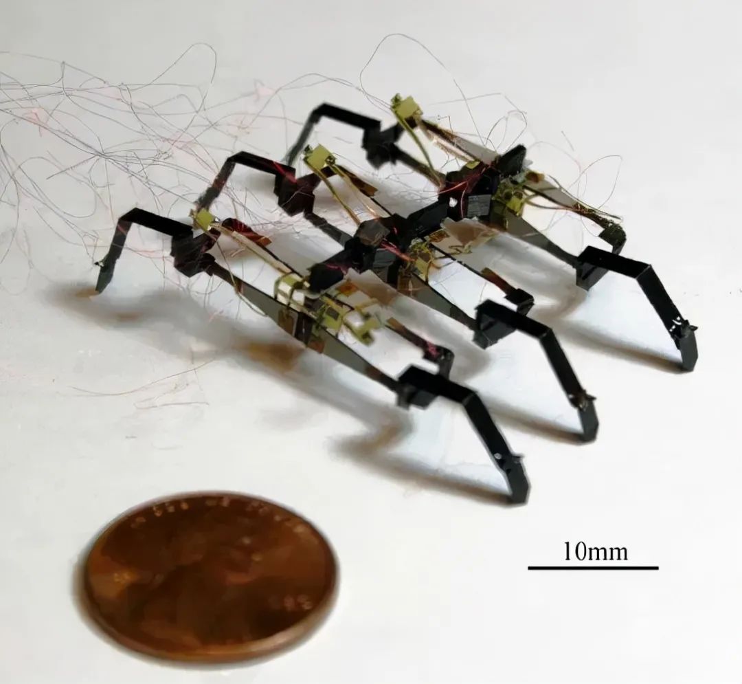 Harvard University's Microbotics Lab Develops Piezoelectric Dual-Plate Multi-Legged Robot