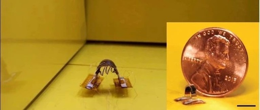 Tsinghua University's Miniature Soft Robot Can Climb Various Surfaces, Change Size from 6 to 90 mm, and Even Somersault!