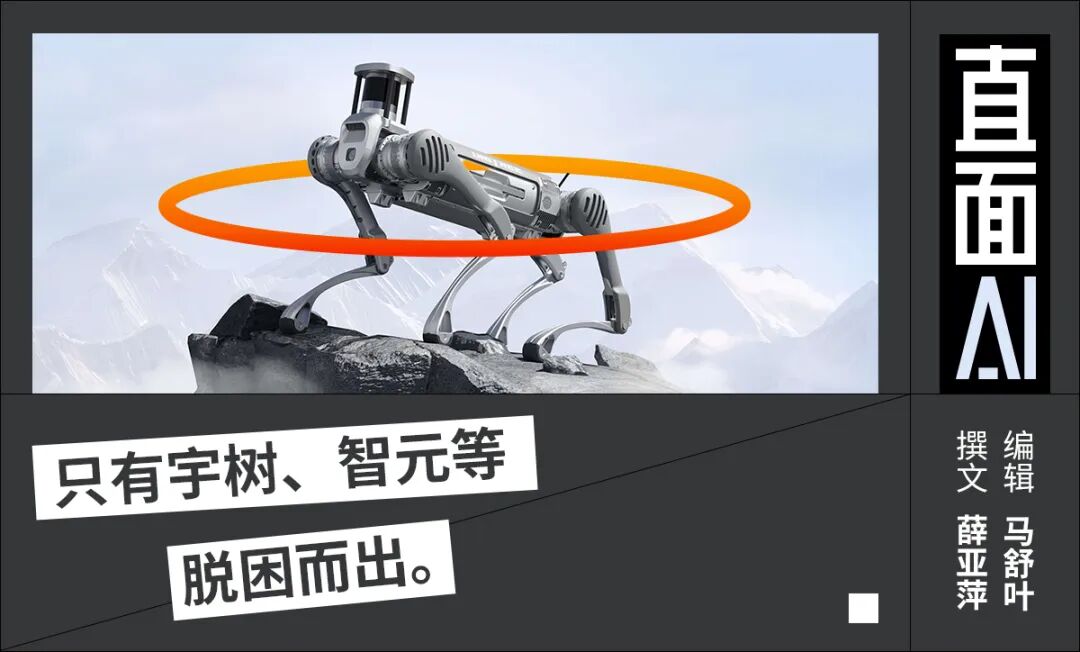 Humanoid Robots Stuck in Series A Funding