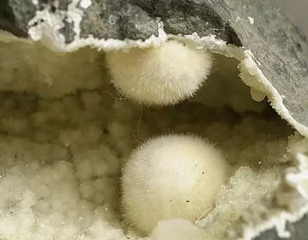 Can 3D Printing Create Fur? You Think It's Easy, Don't You!