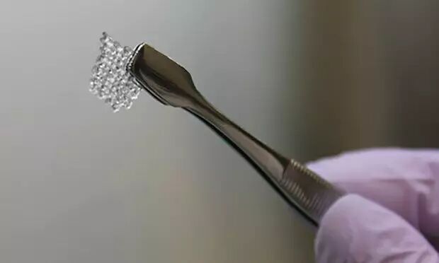 3D Printing an Ovary to Give Birth to a Glowing Mouse? Scientists Have Achieved It!
