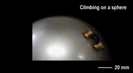 Tsinghua University's Miniature Soft Robot Can Climb Various Surfaces, Change Size from 6 to 90 mm, and Even Somersault!