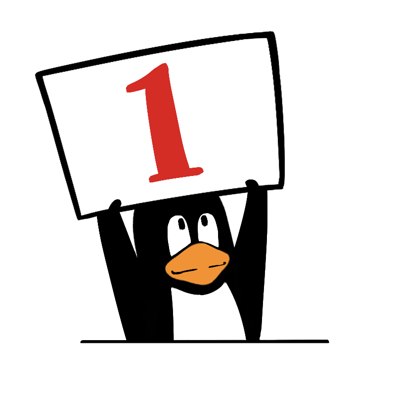 From 'Free Riding' to Mastering Linux!