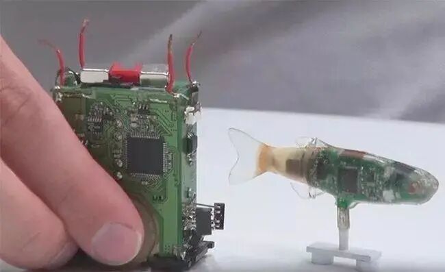 The Resilient Micro-Insect Robot: Artificial Muscles Drive 450 Beats Per Second