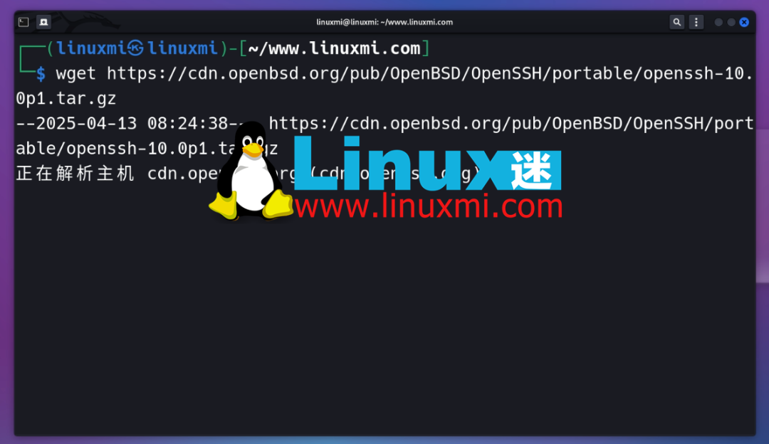 Step-by-Step Guide to Installing OpenSSH 10.0 on Kali GNU/Linux Roll