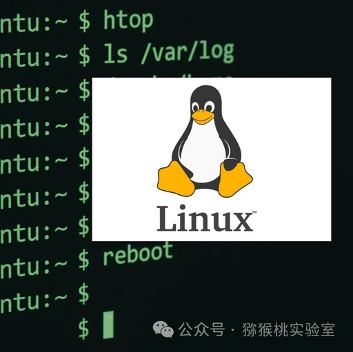 Practical Commands for Linux System Administration